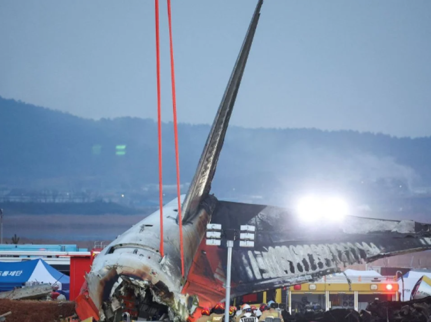 Zogjtë shkaktuan tragjedinë? Hetimi për shkakun e rrëzimit të avionit të Koresë së Jugut mund të zgjasë me vite