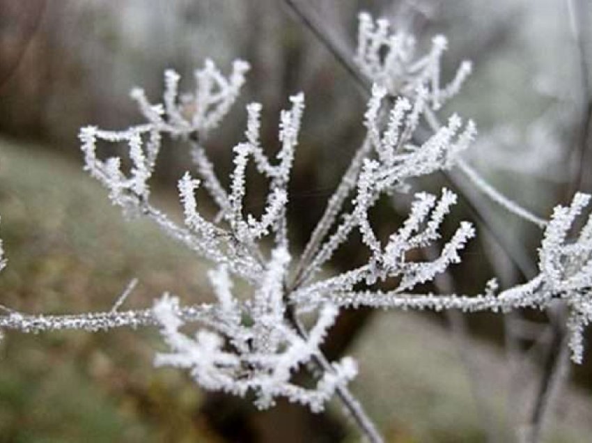 Temperatura të ulëta, ky është parashikimi i motit për Vitin e Ri