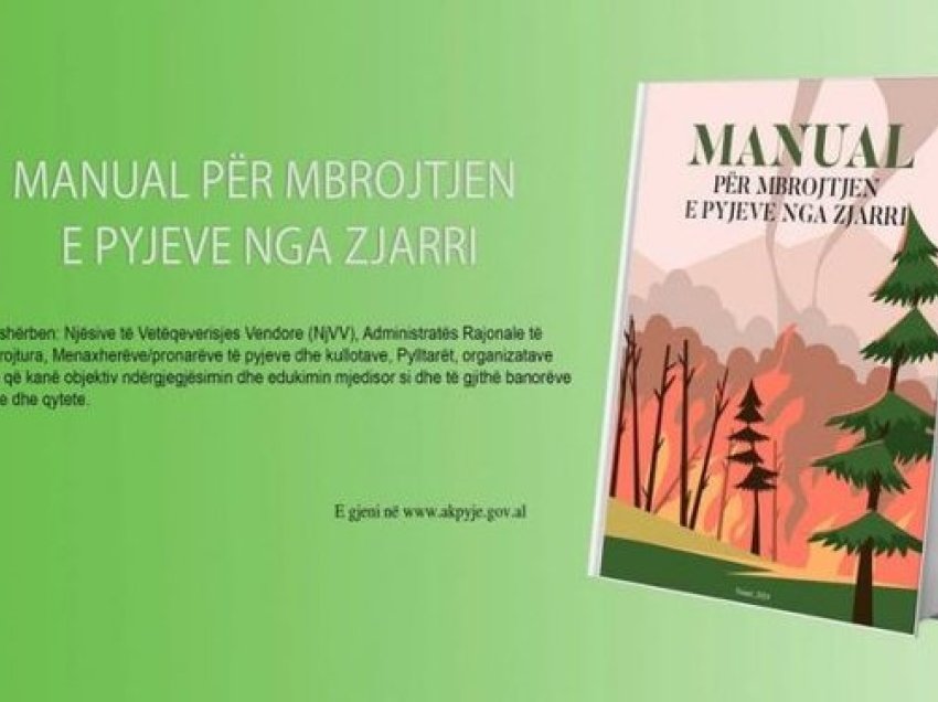 Viti Kombëtar i Pyjeve, Kumbaro: U mbollën 300 mijë fidanë