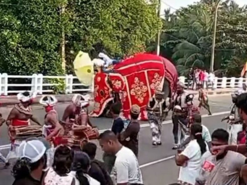 Elefanti e godet me hundë dhe më pas e shtyp burrin në festivalin tradicional në Shri Lankë