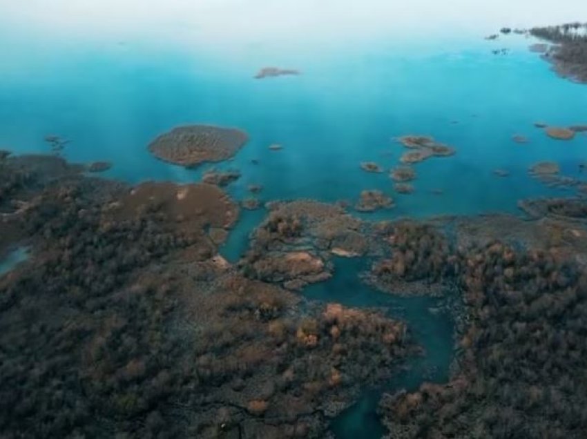 Shqipëri, shoqatat bëjnë thirrje për mbrojtjen e ligatinave