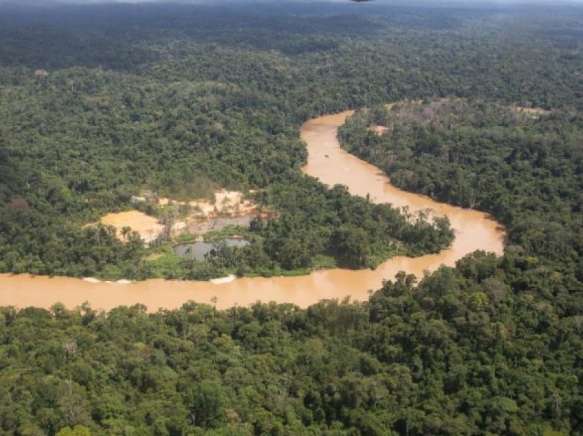 Pyjet tropikale të Amazonës mund të arrijnë ‘në një pikë kthese’ deri në vitin 2050, paralajmërojnë shkencëtarët