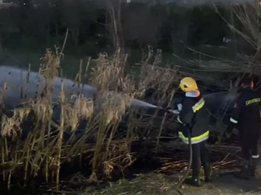 Zjarr në Elbasan, digjet bimësia! Shkak një cigare e hedhur pa u fikur