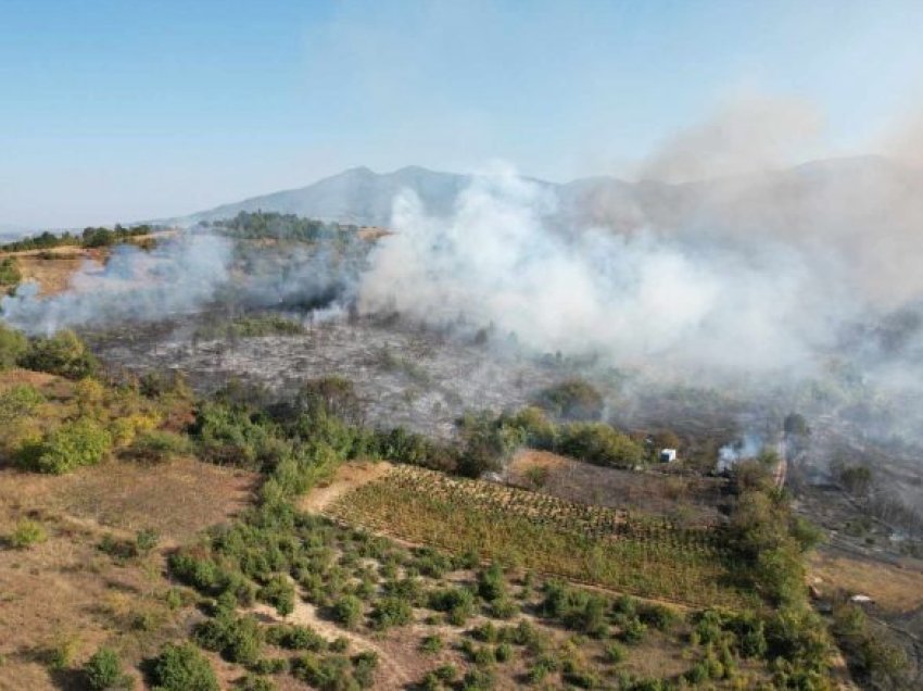 QMK: Janë shuar 31 zjarre në ambiente të hapura