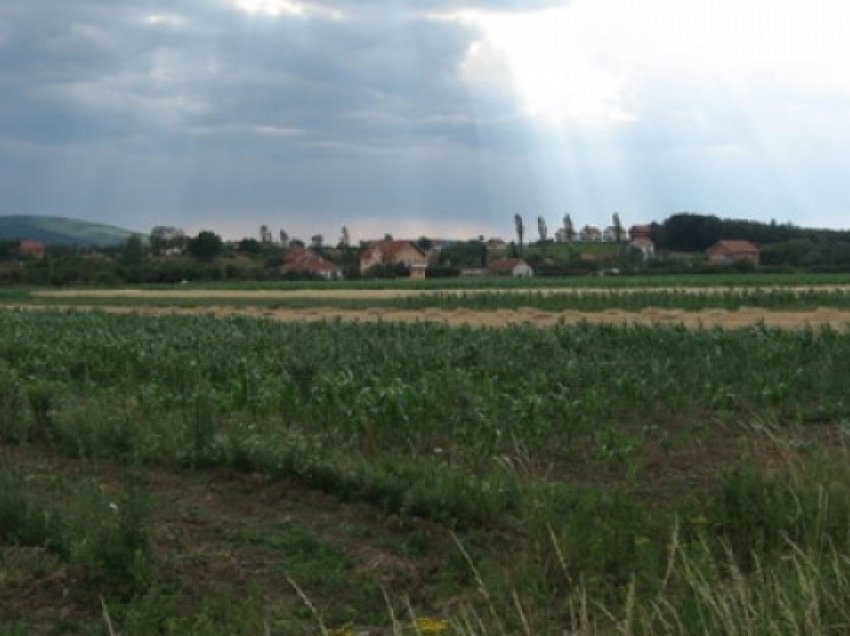 Temperaturat, ndikim ndaj prodhimeve bujqësore në Maqedoni