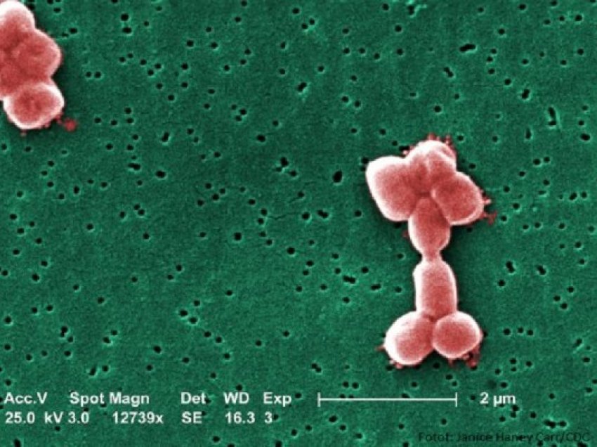 ​Zviceranët zhvillojnë antibiotik të ri kundër bakterit të rrezikshëm që mundon spitalet