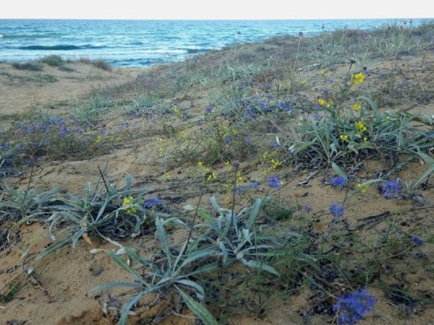 ​Bullgaria cakton 14 zona të mbrojtura për florën dhe faunën e egër