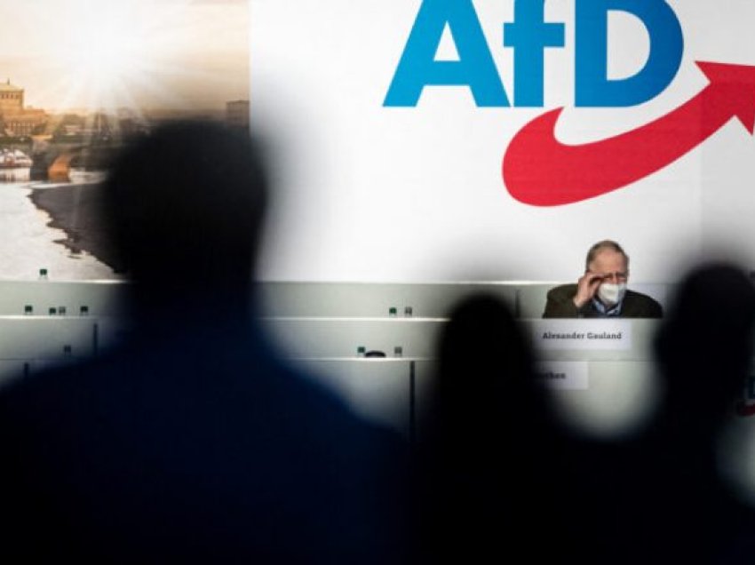 AfD e ekstremit të djathtë paralajmëron referendum për daljen e Gjermanisë nga BE, nëse vjen në pushtet