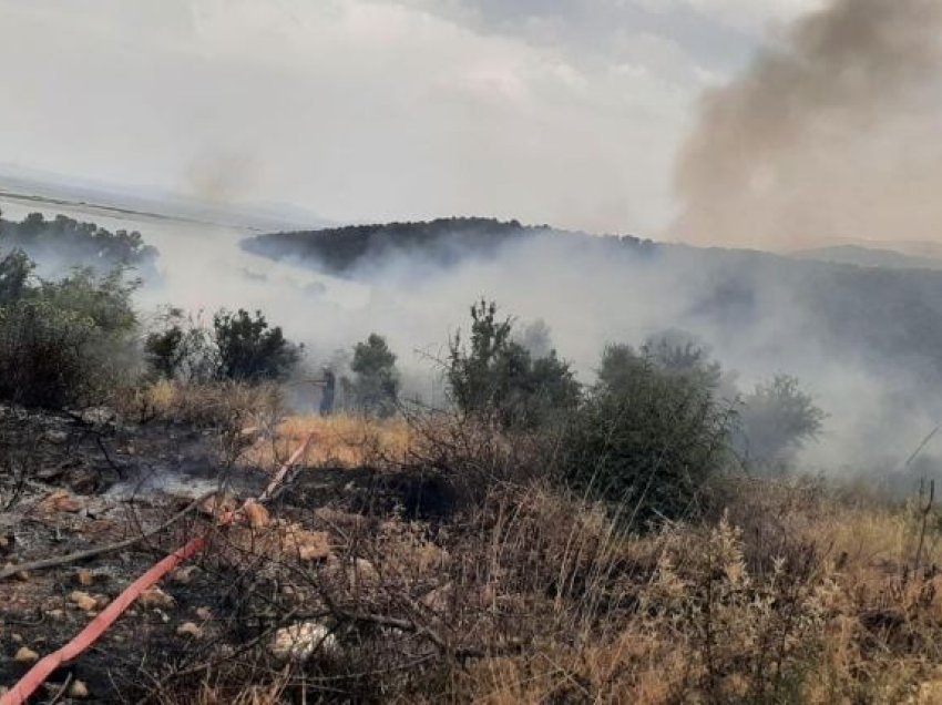 Zjarr masiv mes Ksamilit dhe Butrintit, digjen rreth 1 hektarë me ullishte