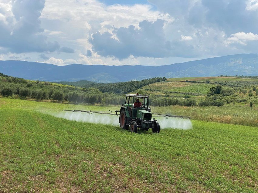  Zhvillimet ekonomike pësojnë zhvendosje! Bie pesha punësimit në sektorët e prodhimit dhe bujqësi, rritet në shërbime e në shtet