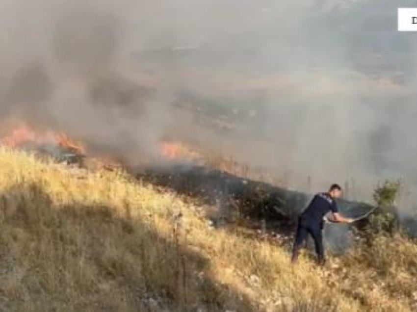 I vuri zjarrin pyjeve në fshatin Frashtan të Dropullit, policia vë në pranga autorin, zjarrfikësit ende në luftë me flakët