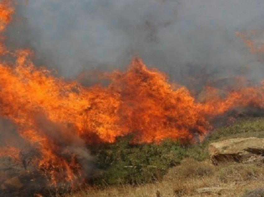 Temperaturat e larta, Shërbimi i Kërkim-Shpëtimit Malor bën apel që të mos ndizen zjarre