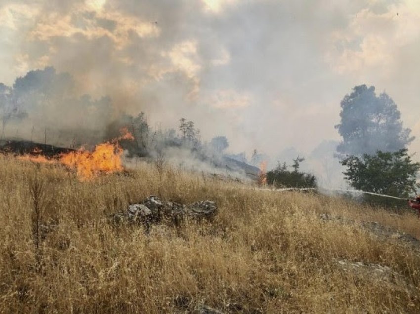 ​Situata e zjarreve në Shqipëri, Peleshi: Shuhen 11 vatra, 3 ende aktive