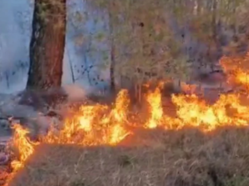 Ende aktiv zjarret në malin Serta dhe Ograzhden