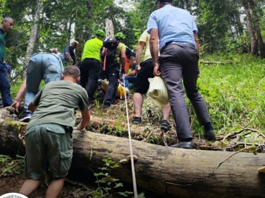 Dyshohet se rrëshqiti në greminë teksa mblidhte çaj mali, dalin detaje të reja për vdekjen e 70 vjeçarit në Bjeshkët e Nemuna