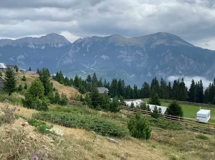 Doli për të mbledhur çaj, vdes një person në Bjeshkët e Deçanit