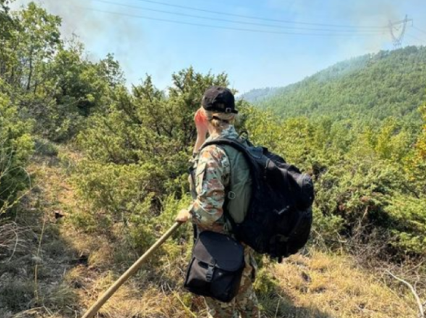 Rreth 100 pjesëtarë të ushtrisë janë përfshi në shuarjen e zjarreve në Maqedoni