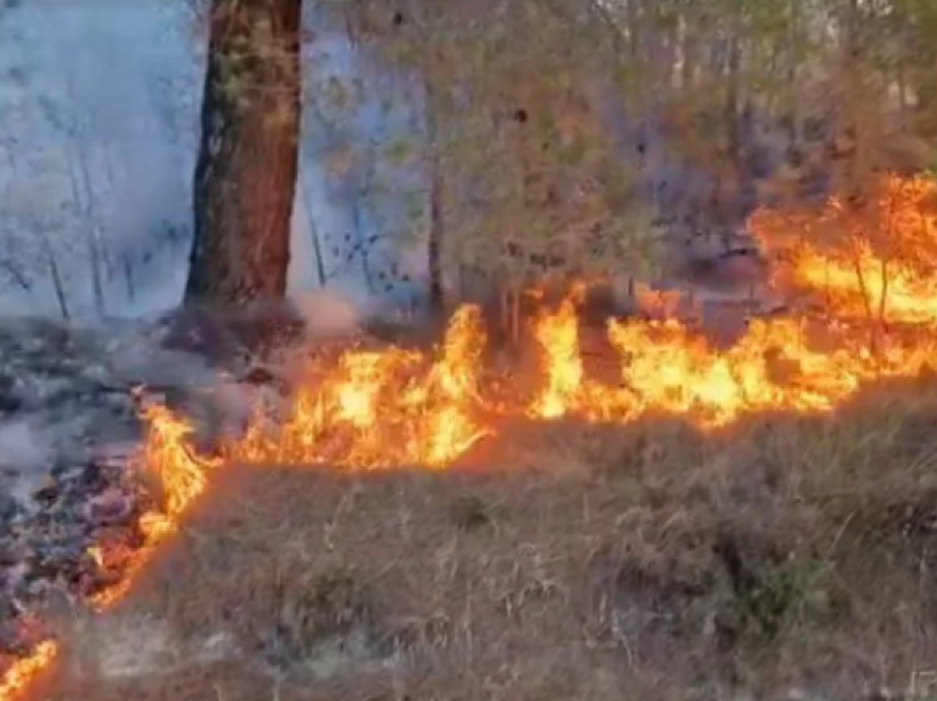 Përfshihen nga zjarri varrezat në Gjakovë, dëmtohet një varr