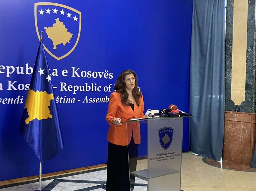 Musliu: Grupi i Radoiçiqit planifikon sulme në Kosovë, gjendja e sigurisë në veri është e qëndrueshme