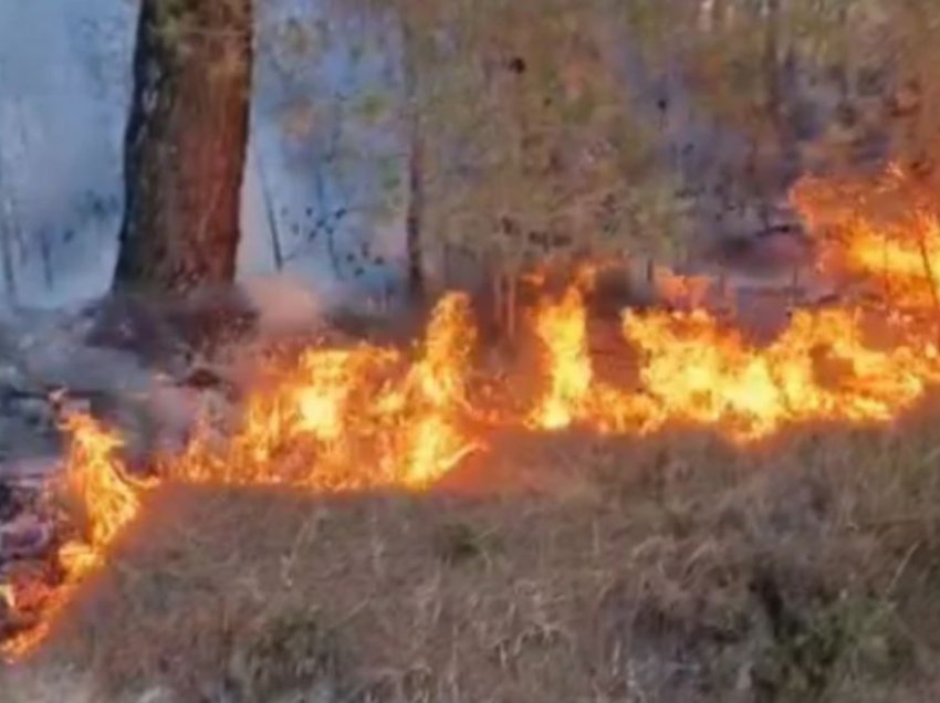 Tetë vatra zjarri ende aktive në Maqedoni, autoritetet në terren