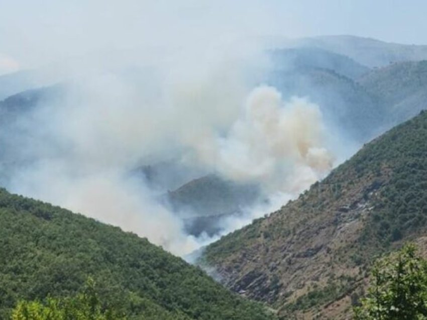 Flakët ‘mbërthejnë’ sipërfaqet pyjore të Karmës në Pukë, vazhdon aksioni për shuarjen e flakëve