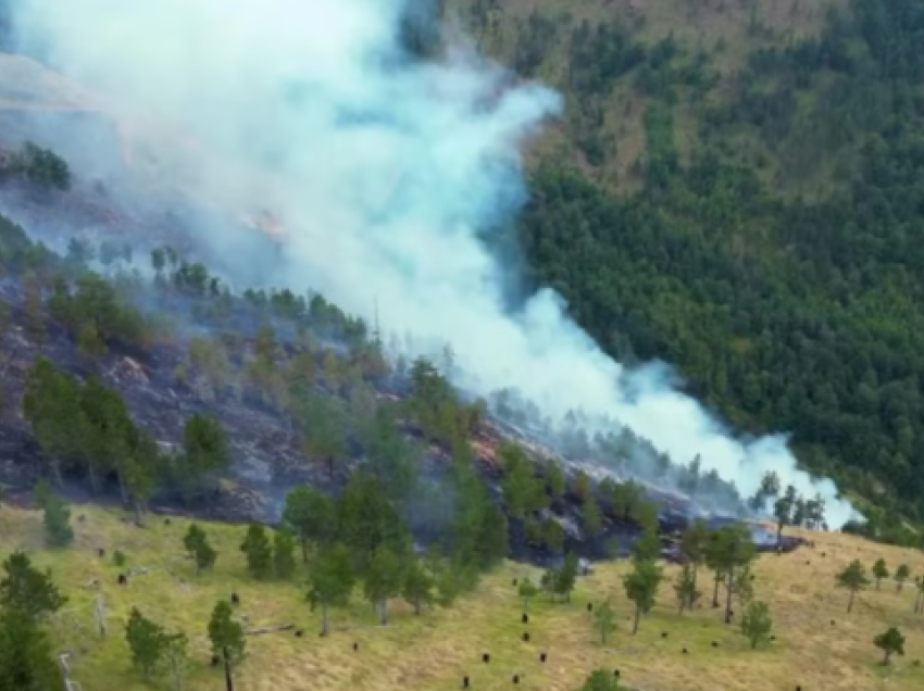 Shqipëri: Temperaturat e larta po shoqërohen me zjarre të shumta