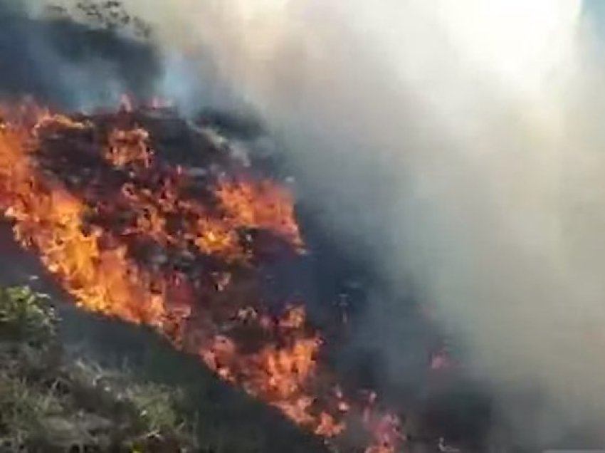 Temperaturat ekstreme, zjarri përfshin Golemin