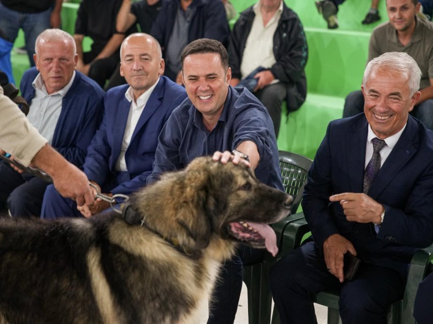 Abdixhiku në Dragash, i ndan çmimin qenit fitues në ekspozitën tradicionale të Qenit Ilir të Sharrit