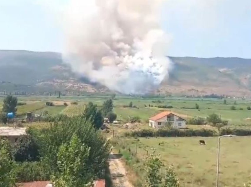 Zjarr në malin e Rrencit në Lezhë, mbërrin zjarrfikësja! Era ndihmon në përhapjen e flakëve