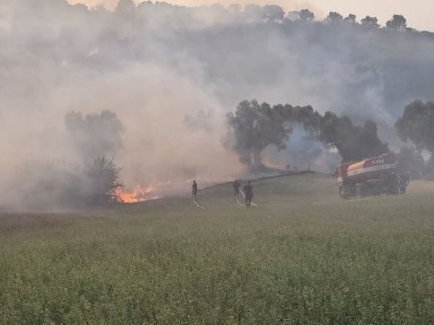 Vatra e zjarrit në zonën e Kavajës, ministri Balla në terren ndjek nga afër operacionin