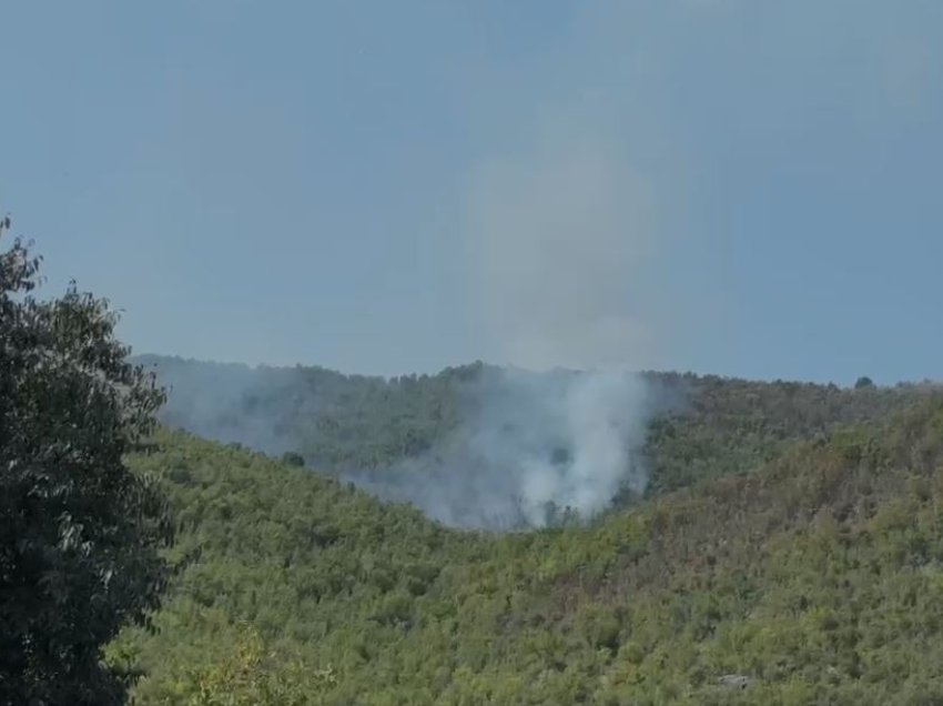 Bilanci i zjarreve në Bashkinë e Lezhës, flakë aktive ende në fshatin Malecaj