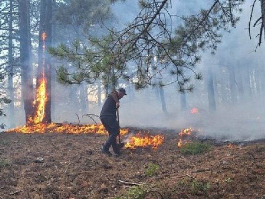 Bie zjarr masiv në Mirditë! Flakët shkrumbojnë dy banesa, detajet