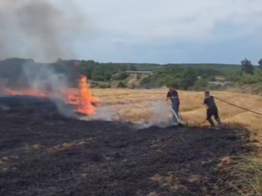 Katër zjarre aktive në Maqedoni, era po ndihmon në përhapjen e tyre