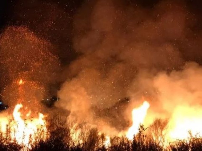 Situata e zjarreve në Qarkun e Shkodrës, një vatër aktive në fshatin Vukpalaj