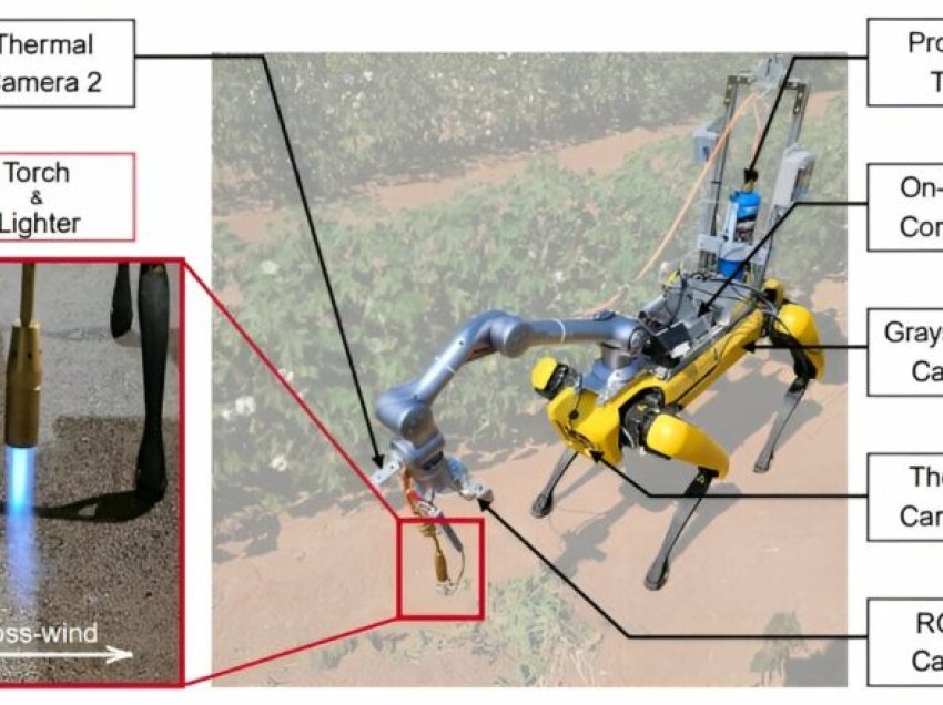 Një ekip shkencëtarësh kanë konfiguruar një robot për të kërkuar dhe “bllokuar rritjen” e barërave të këqija