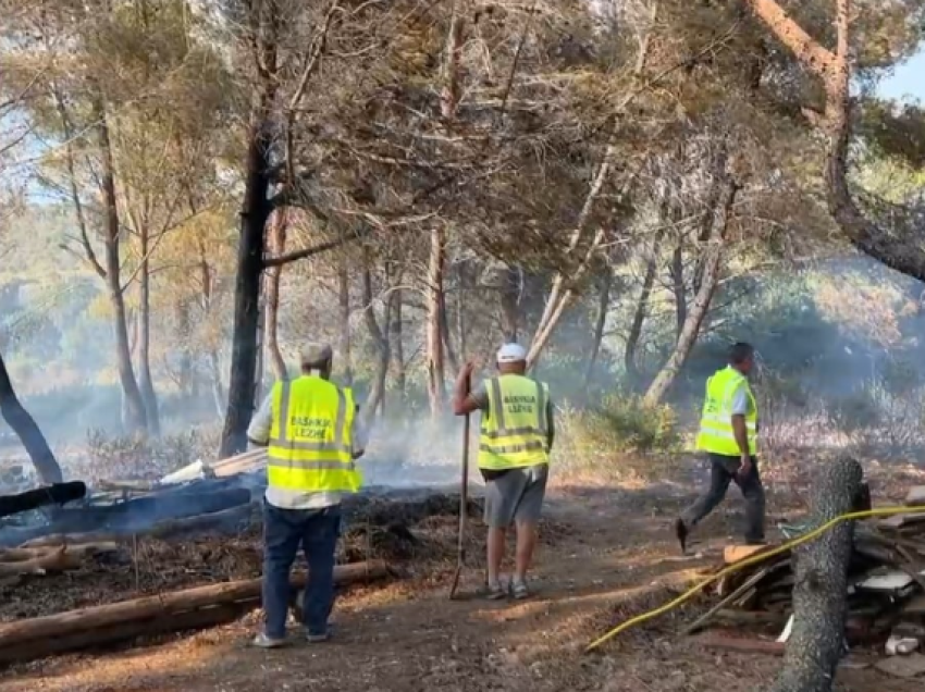 Aktivizohet tjetër vatër zjarri në Shëngjin, favorizohet nga era e fortë. Një banesë u rrezikua të digjet