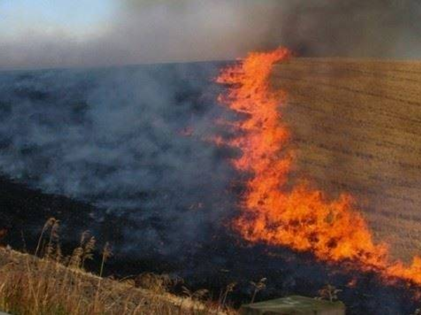 Bujqit që djegin tokat do të penalizohen nga subvencionet – masa të fuqishme për ata që ndezin zjarre