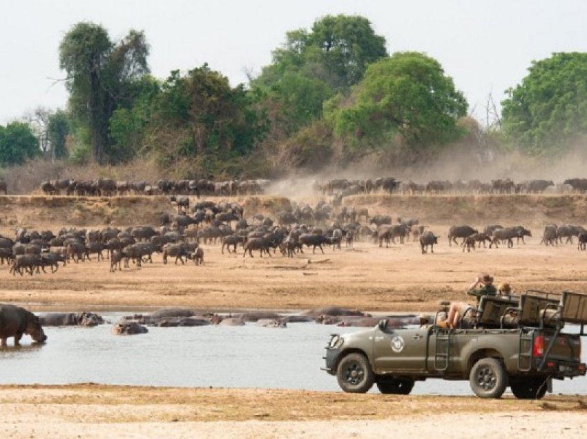 ​Turistja amerikane humb jetën në Zambia