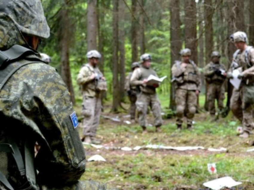 Këto vende kanë filluar “garën e armatimit”, eksperti i sigurisë vjen me thirrje për ndërkombëtarët: Rrini sy çelë ose Ballkani...