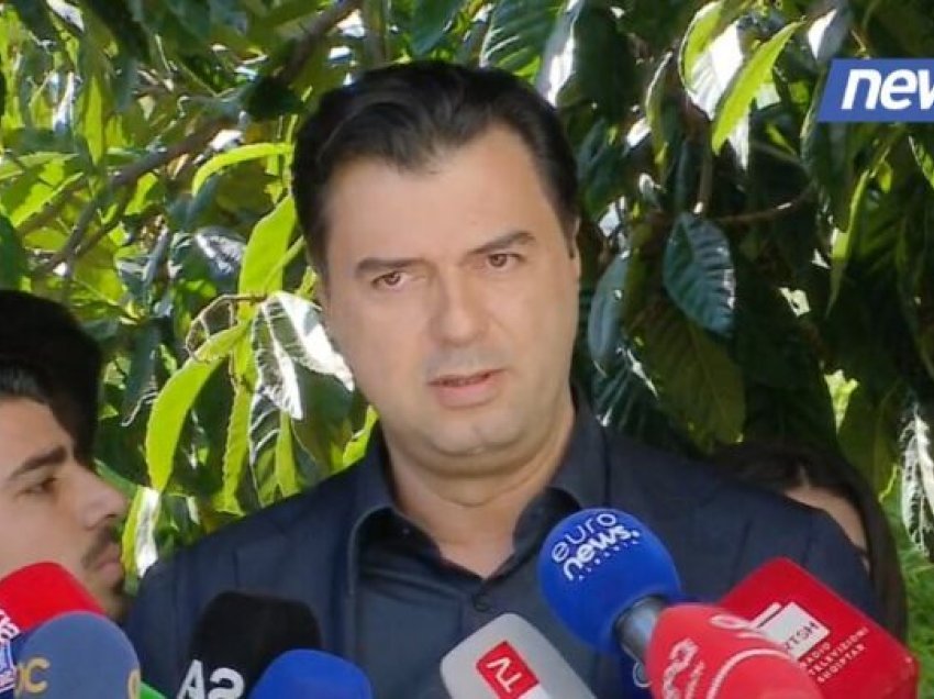 Basha: Edhe vetë Berisha e ka të qartë se nuk fiton dot ndaj Edi Ramës