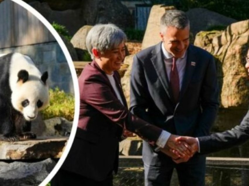 Kryeministri i Kinës i bën dhuratën simbolike Australisë: Dy panda për paqe