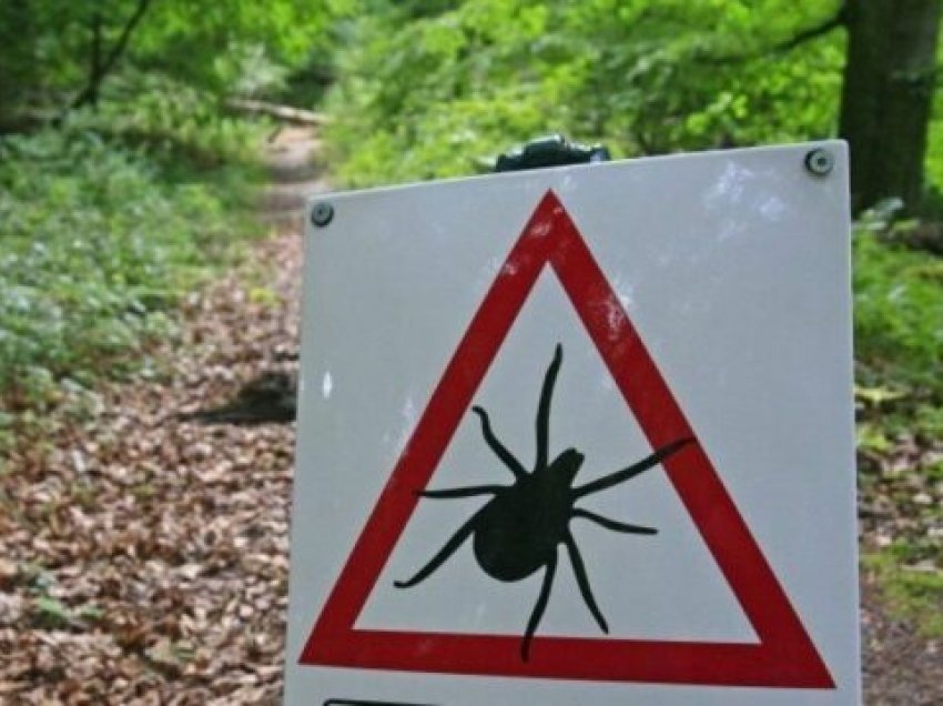 Rreziku nga rriqrat: Malisheva i kërkon ndihmë MSH-së, ministri Vitia nuk përgjigjet