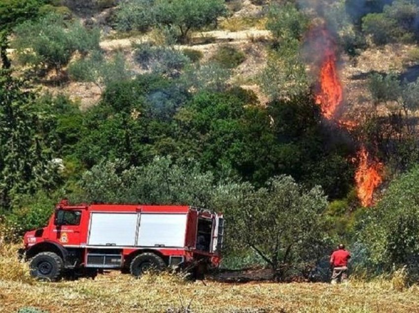 ‘Digjet’ Greqia, temperaturat arrijnë deri në 40 gradë C/ Mbi 300 vatra zjarri në 24 orë, flakët favorizohen nga era