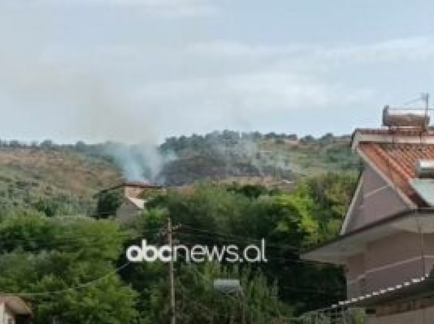 Lushnjë, zjarr në kodrat e Vainit/ Digjen mbi 5 hektarë me ullinj, drurë frutorë e shkurre