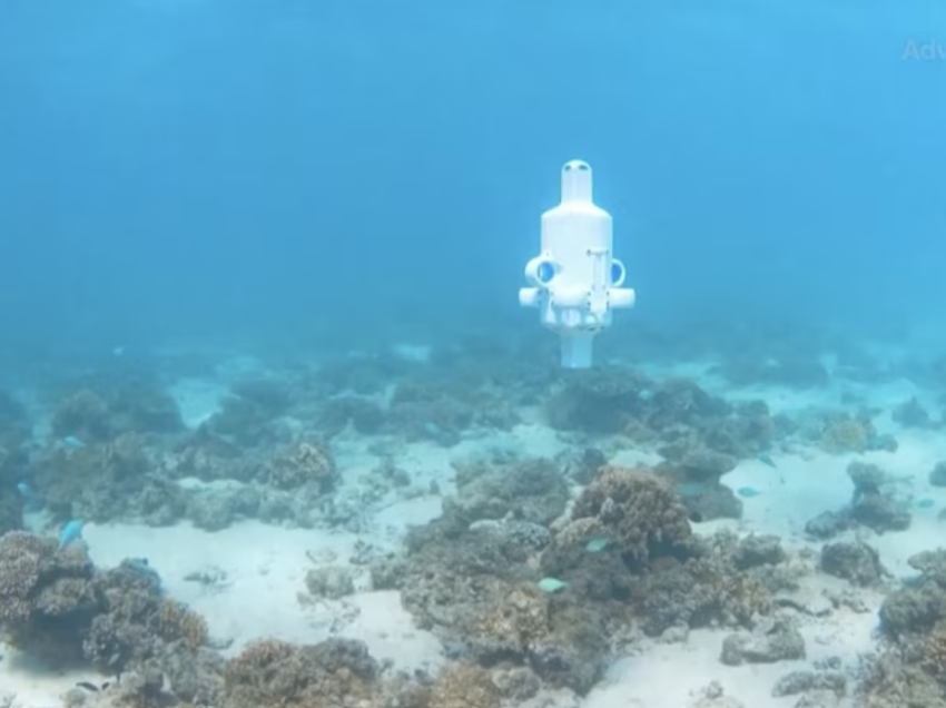 Dron nënujor për të studiuar brezin masiv koralor të Australisë 