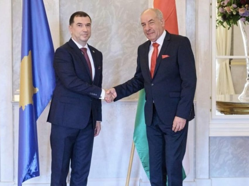 ​Ambasadori Delfin Pllana ia dorëzon letrat kredenciale presidentit të Hungarisë