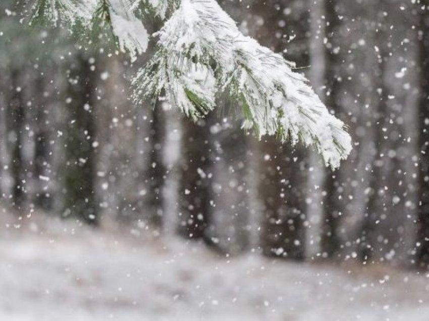 Moti për ditën e nesërme, priten reshje bore