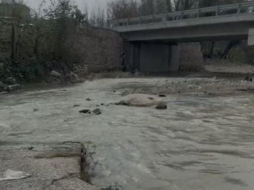 Nëna 42-vjeçare e lindi të gjallë dhe e hodhi në lumë, pamjet nga vendi ku u gjet foshnja i vdekur, i lidhur me qese