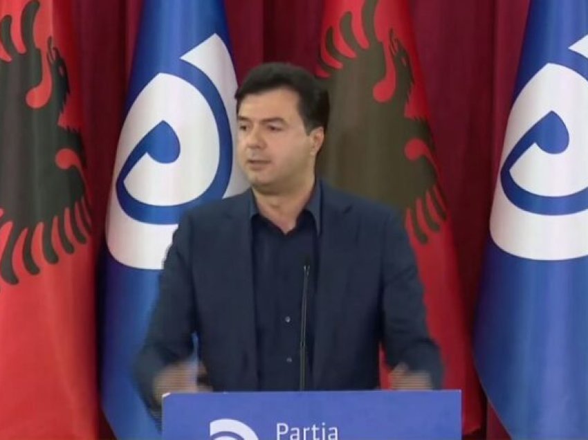 “PD po mbaron organizimin strukturor në të gjithë degët në vend”, Basha: Shumë shpejt do të paraqesim programin dhe vizionin për vendin