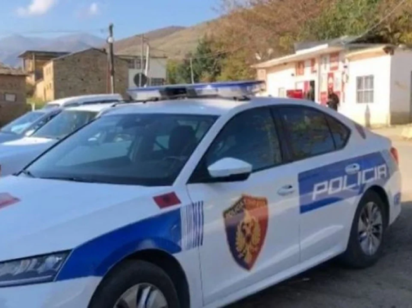 Shkodër/ Po transportonte pesë emigrantë në mënyrë të paligjshme, arrestohet i riu